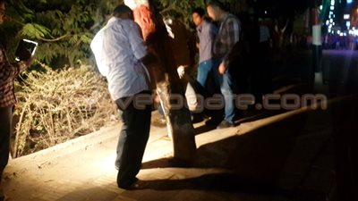 بالفيديو والصور.. تفكيك عبوة هيكلية بـ«دكرنس» في الدقهلية