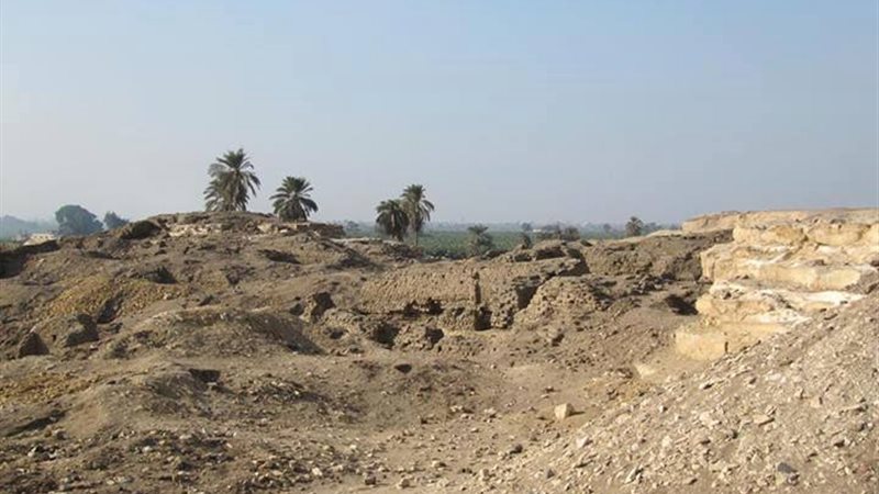 فيتو