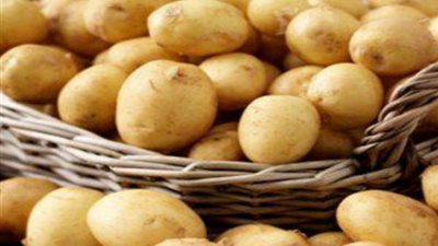 تصدير ٢٥٦ ألف طن بطاطس إلى روسيا خلال الموسم الحالى