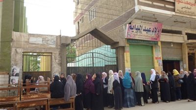 مسنات البساتين: 