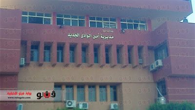 ضبط 6 أشخاص لكتابتهم عبارات مناهضة للدستور بالوادي الجديد