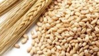 10 أطعمة لعلاج الضغط المنخفض