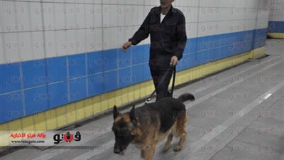 شرطة النقل: نشر خبراء المفرقعات لتمشيط «المترو» و«السكك الحديدية»