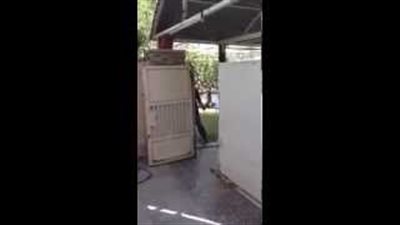 بالفيديو.. شاب ينفذ مقلبًا مرعبًا بوالده أثناء صيانة الكهرباء