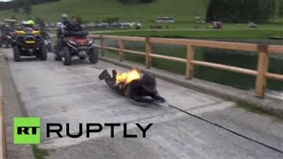 بالفيديو.. الرقم القياسي الأكثر غرابة في العالم