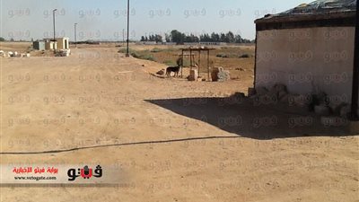 بالصور.. مصدر أثري: