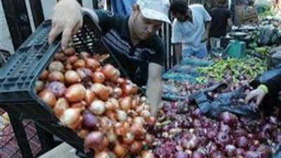 19.7 مليار دولار فجوة غذائية متوقعة فى مصر عام 2030