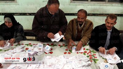 مواطنون يحتفلون ببدء التصويت على الدستور بالعمرانية