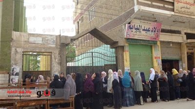 الاستفتاء يؤجل غسيل الخزانات والشبكات بالمنوفية