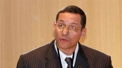 سلامة: المواثيق الدولية تكفل حماية الأوطان بجانب حقوق الإنسان