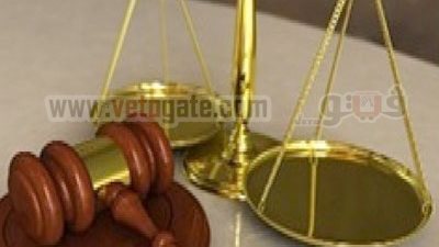 استثناء قضايا الفساد وقتل المتظاهرين من قرار تعليق العمل بالمحاكم