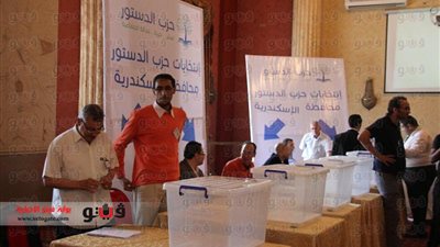 بالصوت.. انتخابات «دستور الإسكندرية» على أنغام «كوكب الشرق»