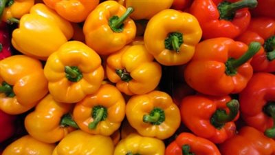 الفلفل البلدي يسجل 1.5 جنيها بسوق العبور