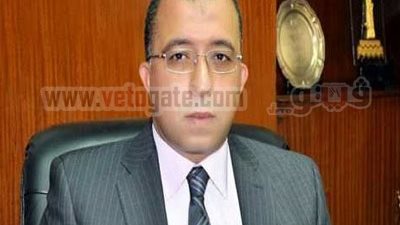 وزير التخطيط ينفي تراجع صندوق النقد عن إقراض مصر