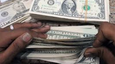 الدولار يسجل 703 قروش في ختام تعاملات اليوم