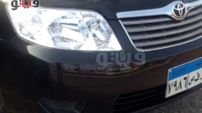 بالفيديو.. استقرار أسعار 