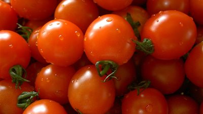 الطماطم تسجل 150 قرشًا بسوق العبور اليوم