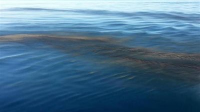 إرسال لجنة عاجلة من البيئة لفحص محطات الشرب بقنا بعد تسرب الزيت