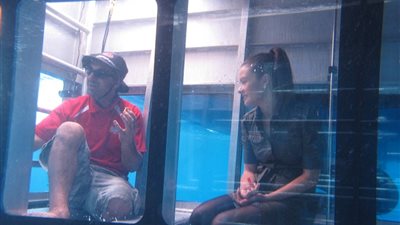 بالصور.. يخت أسترالي يمكنك مشاهدة أعماق البحار من داخله