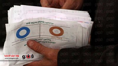 نشطاء ينظمون مسيرة للدعوة إلى مقاطعة الاستفتاء بالجيزة.. بعد قليل