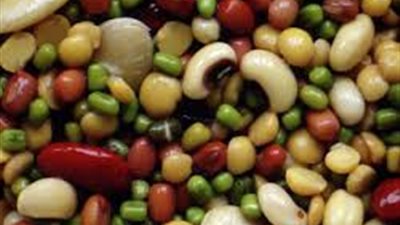 11 جنيهًا لكيلو الفول 