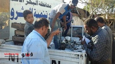 محافظة البحر الأحمر تستلم شحنة سمك مدعمة للأهالي