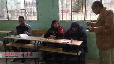 نائب رئيس مجلس الدولة: إعلان نتائج الاستفتاء باللجان.. غدًا