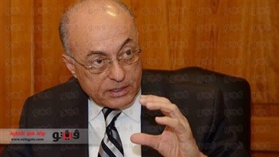 اليزل: هناك العديد من الأنفاق في سيناء تستغل ضد مصر