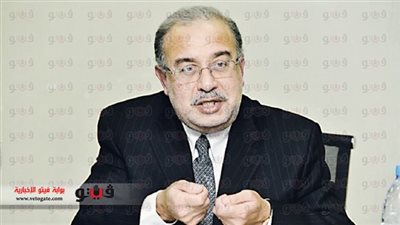 وزير البترول يبحث فرص الاستثمار مع الكونغو ومنظمة 