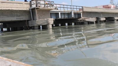 «بحيرة المنزلة» تصرخ: «أريد حلًا».. مصرف بحر البقر شريان التلوث.. الصرف الصناعي يهدد حياة الأسماك.. «البيئة» تنشئ محطتين للتحسين.. و«الري» تدشن مشروعا بتكلفة 31