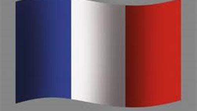 الغرفة التجارية الفرنسية تستعرض مشكلات المصدرين والموردين بمصر