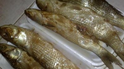 تموين قنا يشن حملات تموينية على محال بيع الأسماك والفسيخ