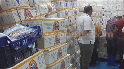 بالصور.. ضبط طن ونصف أسماك فاسدة ببورسعيد