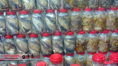 بالفيديو والصور.. مراحل تصنيع الفسيخ الأسوانى.. كلب البحر والبلطى الأخضر أجود 