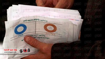 ضبط سيدة حاولت تهريب ورقة اقتراع الاستفتاء بالبحيرة