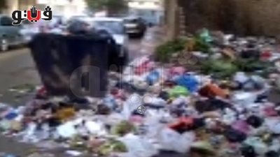 بالفيديو.. كارثة بيئية تهدد دمنهور بعد إضراب عمال النظافة