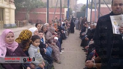 استبعاد 6 قضاة بالقليوبية لتوجيههم المواطنين للتصويت بـ