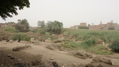 عالمة آثار مصرية تحذر من استيلاء 