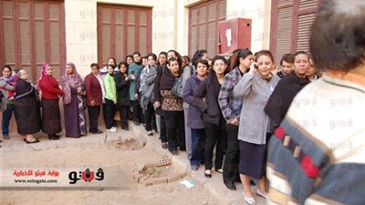 رئيس اللجنة العامة للاستفتاء بالغربية ينفي استبعاد أي قاضٍ من لجان الاستفتاء