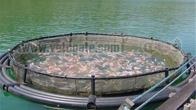 أصحاب المزارع السمكية بـ