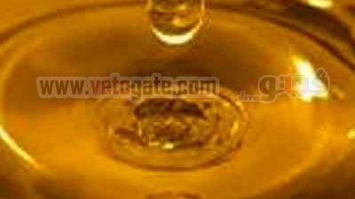 9 ديسمبر.. مؤتمر استغلال المخلفات لإنتاج الوقود