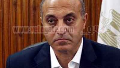 بالصدفة.. ضبط عاطل بحوزته سلاح ناري بالقليوبية