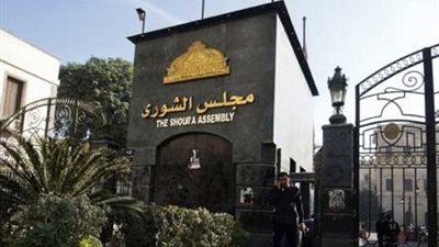 الشورى يشكل لجنة ثلاثية لحل أزمة تداخل الحدود بين الإسماعيلية والشرقية