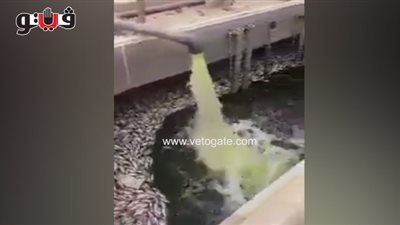 بالفيديو.. مواطن يحذر: أسماك المزارع تعيش في الصرف الصحي