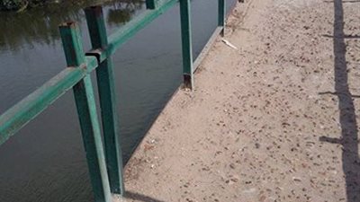 بالفيديو.. إنقاذ شاب سقط من أعلى كوبري في ترعة بالشرقية