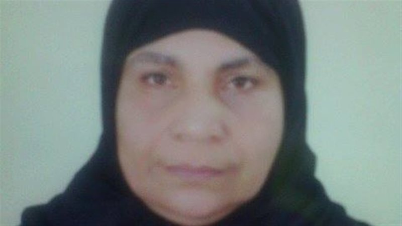  الام المثالية البديلة