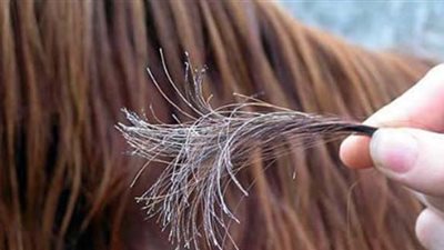 طرق حماية الشعر من التقصف