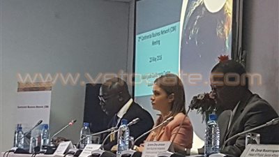 وزيرة التعاون الدولي: القطاع الخاص العمود الفقري للحكومة