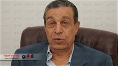 حسن الشافعي: يجب تشجيع الاستثمار ولا يعنينا إلغاء الوزارة