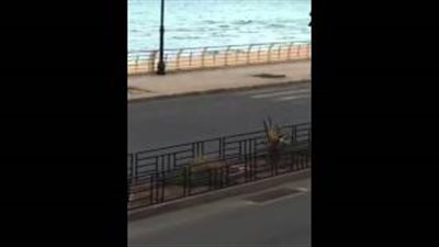 بالفيديو.. حادث مروع لسيارة بورش في سباق سيارات بـ«بيروت»